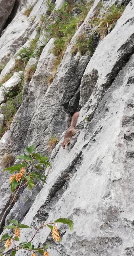 Appartamento Olea Arco Kültér fotó